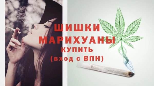 индика Арсеньев