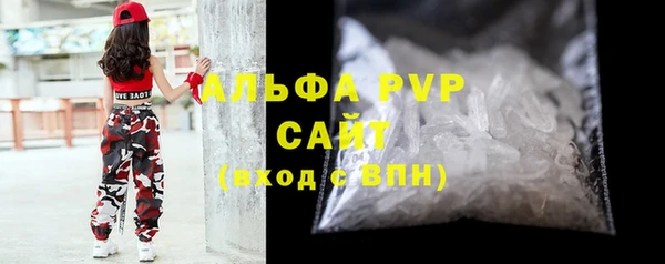 индика Арсеньев