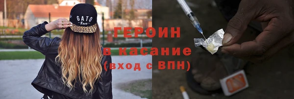 индика Арсеньев