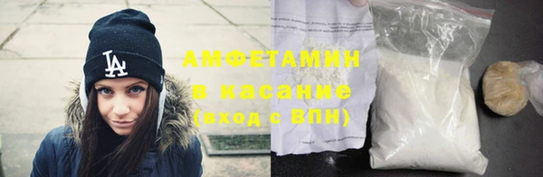 индика Арсеньев