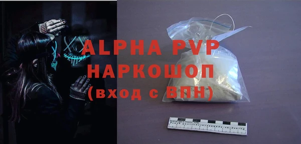 индика Арсеньев