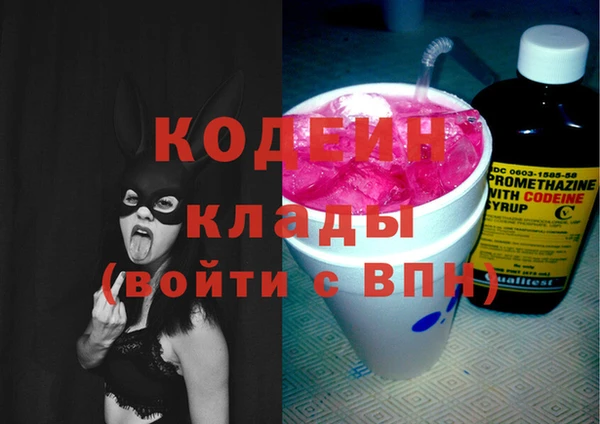 индика Арсеньев
