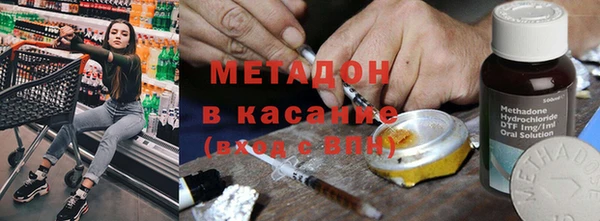 индика Арсеньев