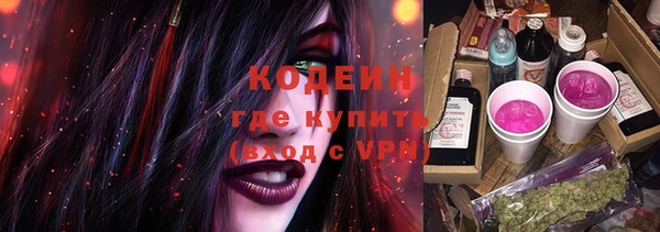 индика Арсеньев