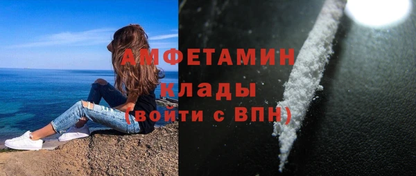 индика Арсеньев